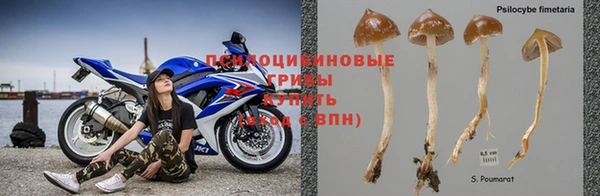 твердый Алзамай
