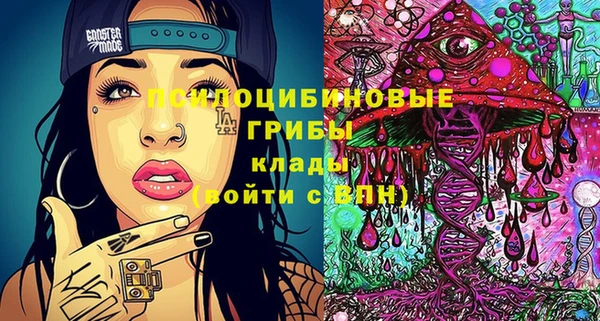 тгк Абинск
