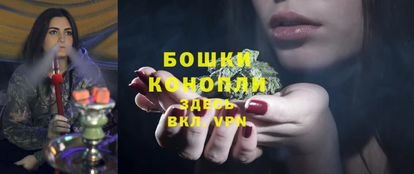 твердый Алзамай